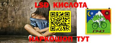 прущие грибы Камышлов