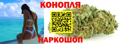 гашик Кандалакша