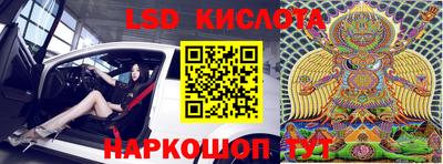 прущие грибы Камышлов