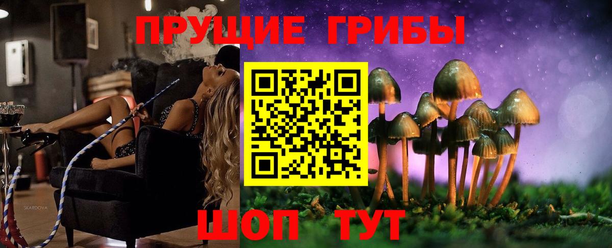 Галлюциногенные грибы ЛСД  продажа наркотиков  Псилоцибиновые грибы Magic Shrooms  Лесной  Вход с VPN 